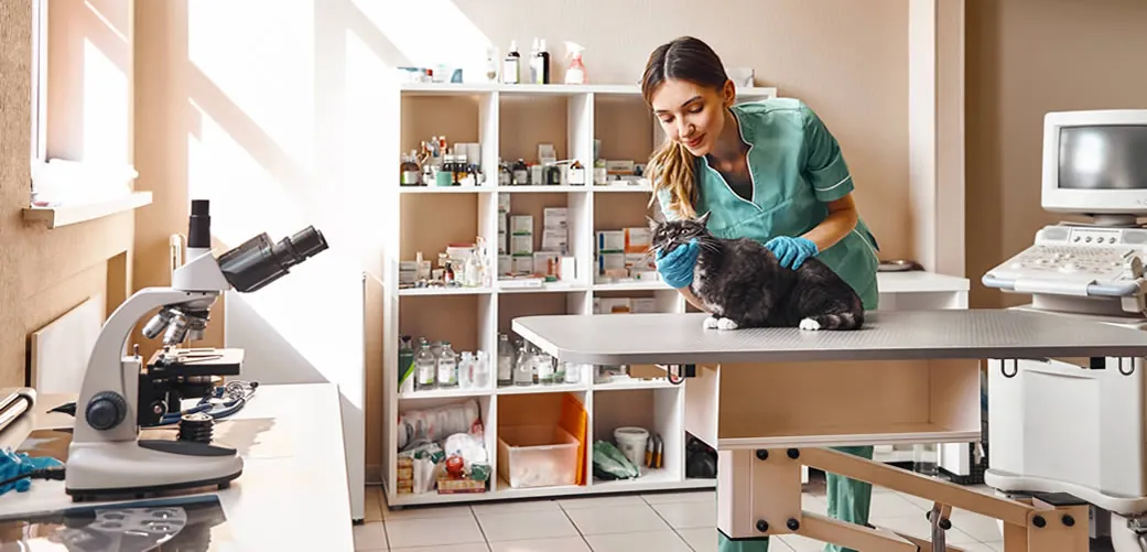 Narcotics Tracking in Veterinary Medicine: Protect Your Practice