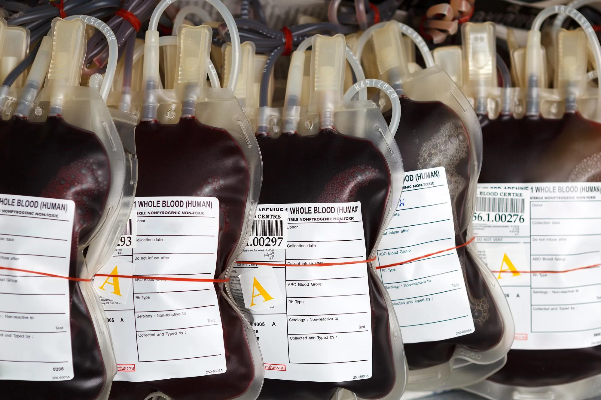 Whole Blood Tracking: A Game-Changer for EMS